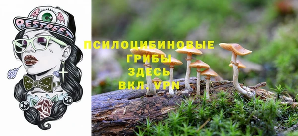 дмт Алзамай