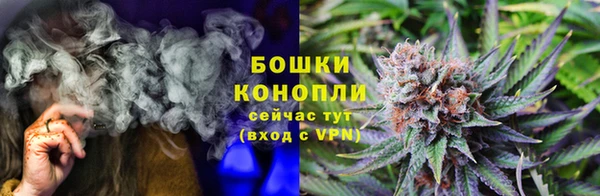 ПСИЛОЦИБИНОВЫЕ ГРИБЫ Абаза