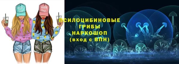 ПСИЛОЦИБИНОВЫЕ ГРИБЫ Абаза