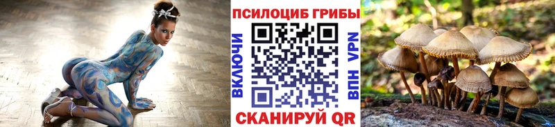 блэк спрут зеркало сколько стоит Бежецк Галлюциногенные грибы Psilocybine cubensis